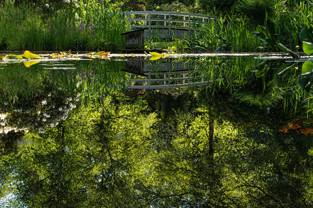 Reflektion | Holzisphotography, Landschaftsfotografie, Wildlifefotogorafie - Realisiert mit Pictrs.com
