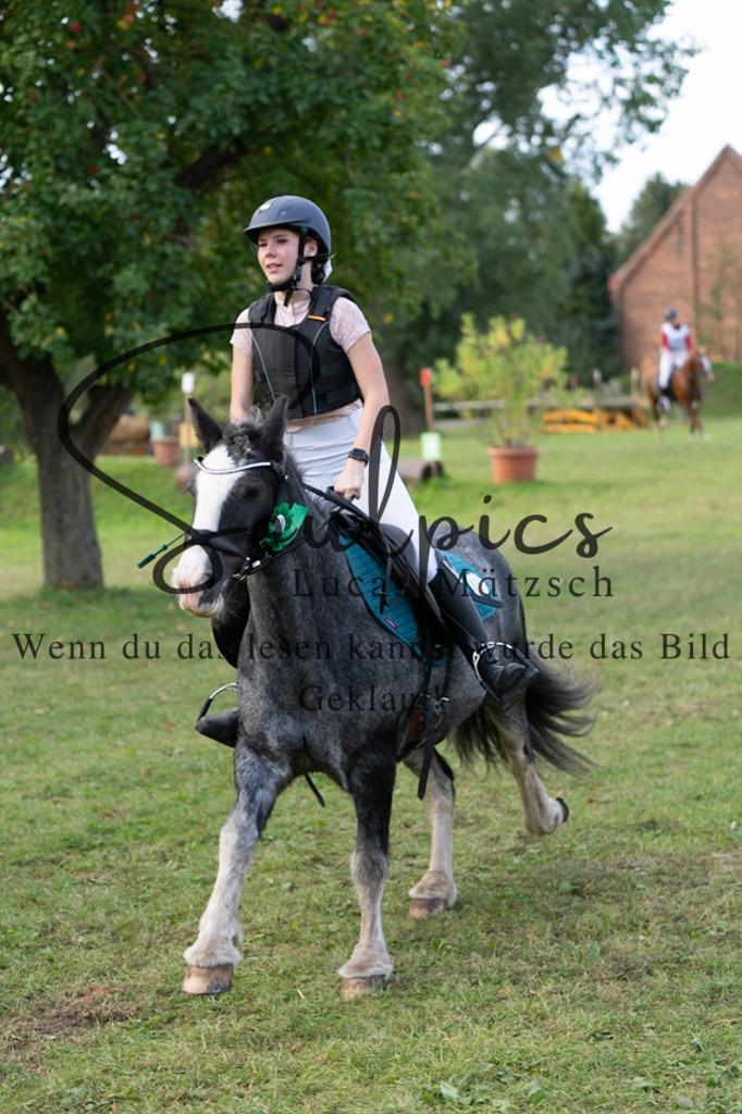 A7V03194 | Turnier/Reitfotograf