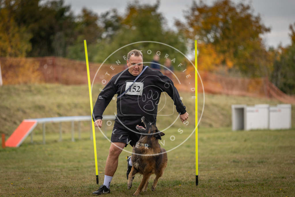 Pfotenfotografie_DV3A6461 | Hundefotografie, Tierfotograf, Pfotenfotografie, Fotoshooting Hund, Hunde Portrait, Hundesport, Hundeportraits, Heideshooting, Hunde, Sportfotograf, Hundefotograf, Turnierhundsport, THS,  - Realisiert mit Pictrs.com