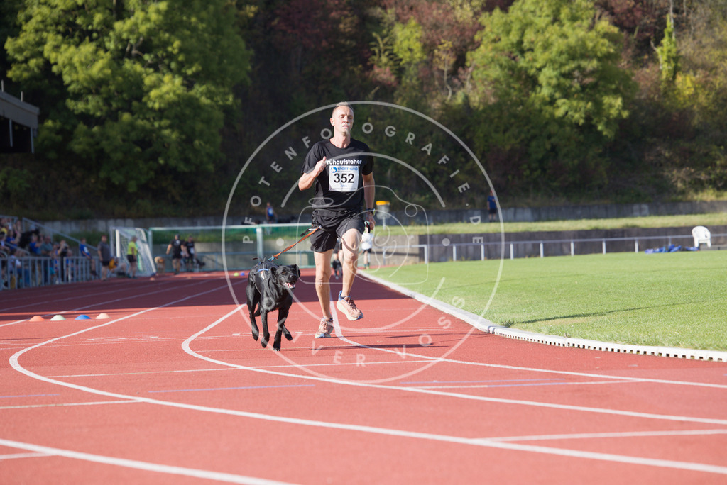 0L8A9919 | Hundefotografie, Tierfotograf, Pfotenfotografie, Fotoshooting Hund, Hunde Portrait, Hundesport, Hundeportraits, Heideshooting, Hunde, Sportfotograf, Hundefotograf, Turnierhundsport, THS,  - Realisiert mit Pictrs.com