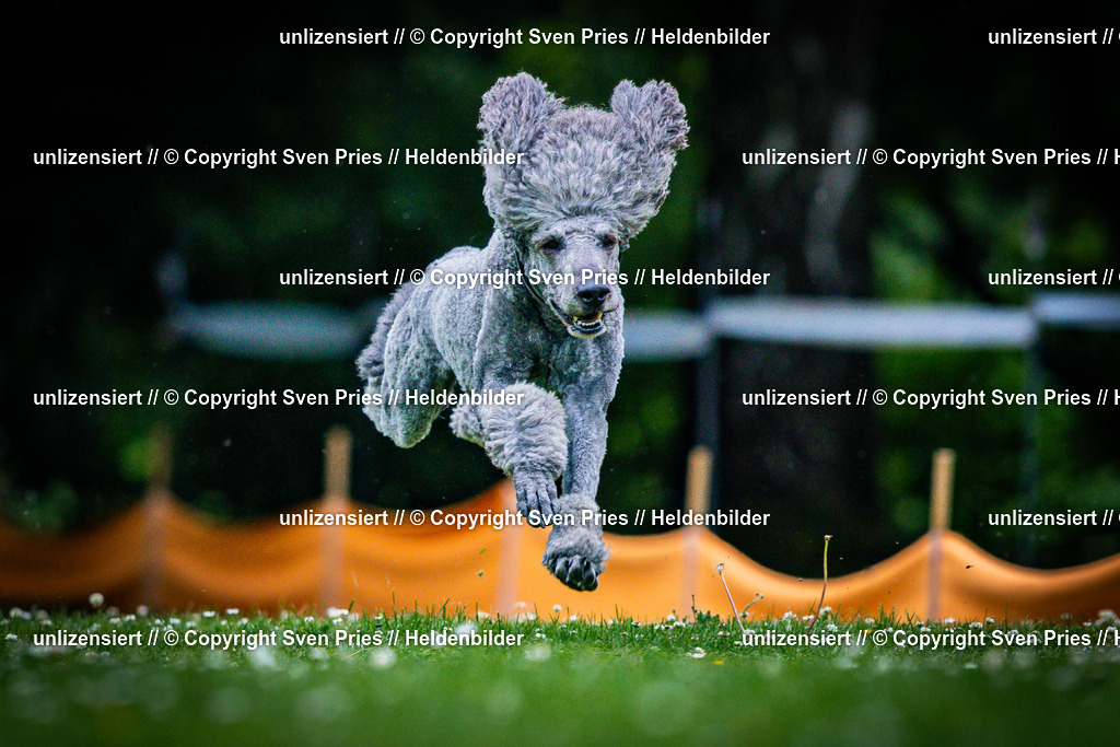 Sven Pries | 2025-05-29 - Pudelrennen KA-Durlach - Realisiert mit Pictrs.com