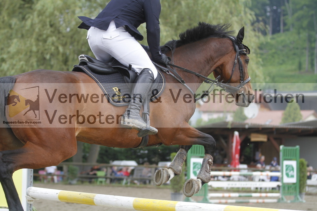 _MG_3158 | equestrian-live-com