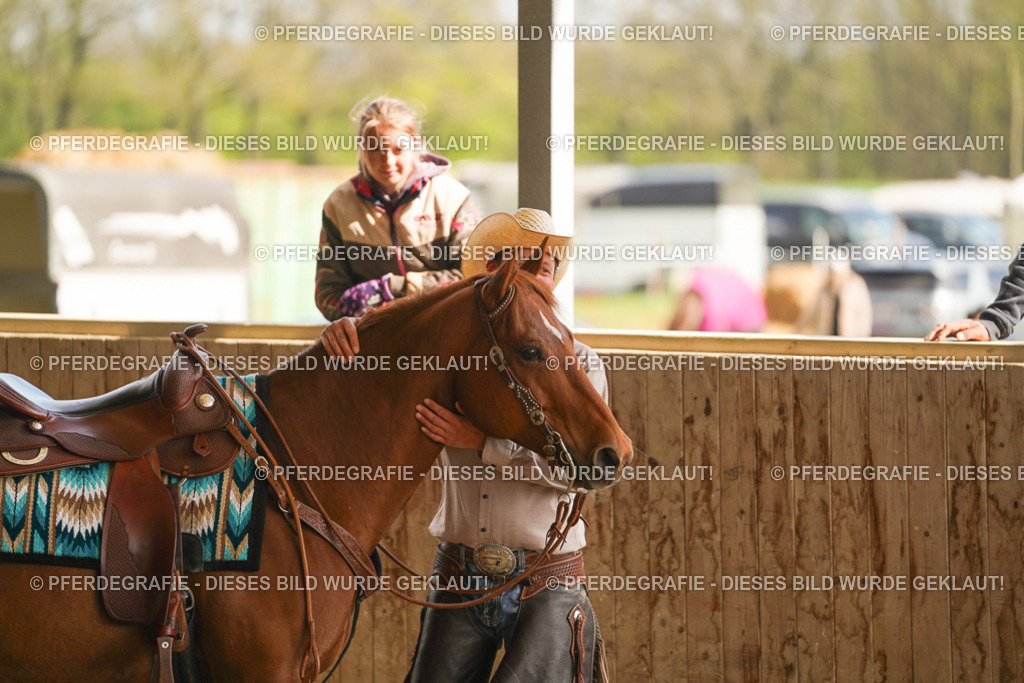 DSC03055 | Pferdegrafie