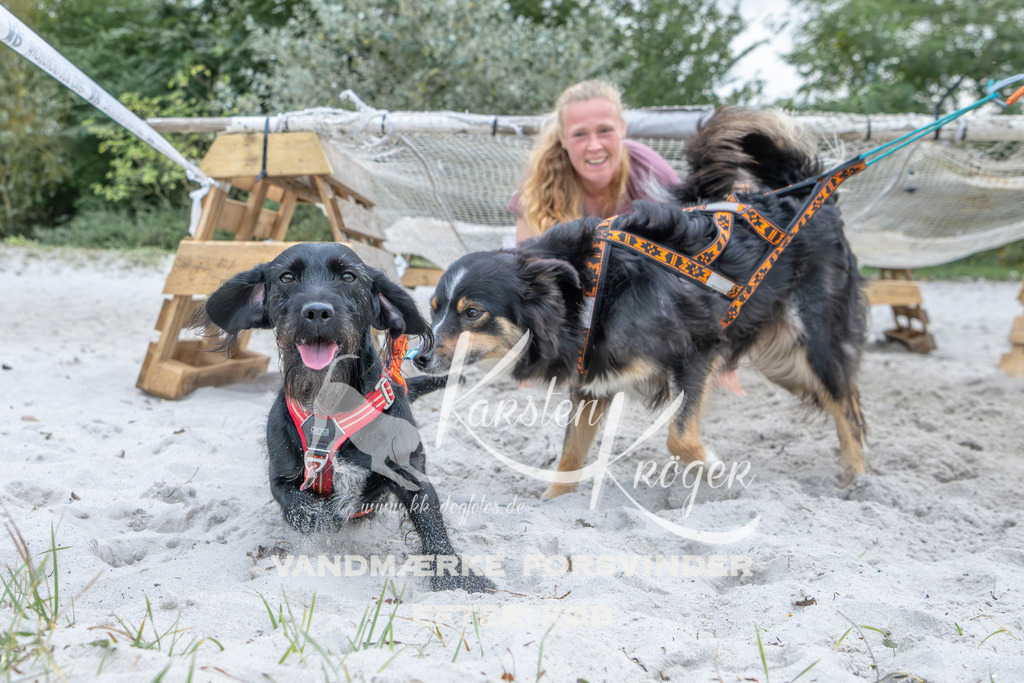 1123_ZZ96304 | kk-dogfotos