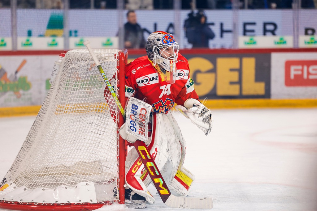 EHCB vs HCD 20260106_wb-1308 | Sportbilder, Sportfotograf, Hochzeits- und Eventfotografin, Flugshows, Portraits und Tiershooting, Aviation, Downhill, Nationalleague, Swissleague, International