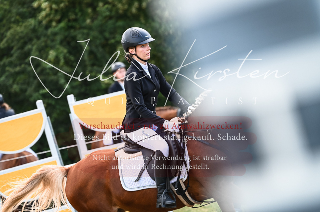 DSC_8084 | Pferde- und Turnierfotografie in Westsachsen. Pferdeportraits, Auftragszeichnungen und intuitive Kunst.