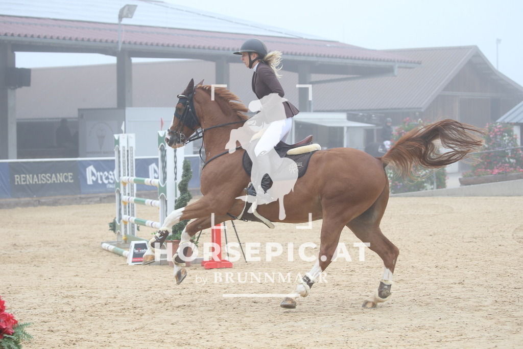DL2Q3156 | Willkommen bei Brunnmayr - Design & Fotografie – Ihrem Spezialisten für Reitturniere und Pferdeveranstaltungen in Oberösterreich, Salzburg und Bayern! Seit über 17 Jahren sind wir leidenschaftlich dabei.