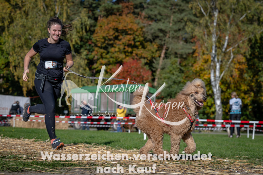 1102_ZZ92576 | kk-dogfotos