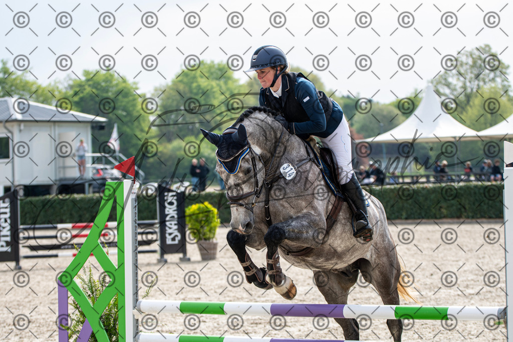 KPT_2380 | andre_photographic