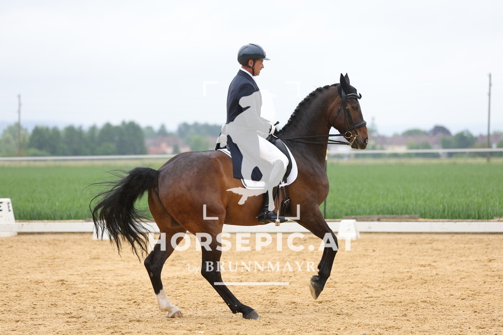 0P6A1779 | Willkommen bei Brunnmayr - Design & Fotografie – Ihrem Spezialisten für Reitturniere und Pferdeveranstaltungen in Oberösterreich, Salzburg und Bayern! Seit über 17 Jahren sind wir leidenschaftlich dabei.