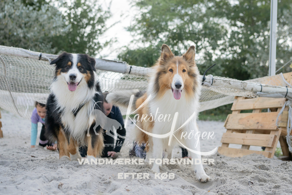 1353_ZZ98585 | kk-dogfotos