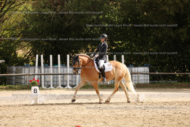 HG9A0528 | laurarinckfotografie - Realisiert mit Pictrs.com