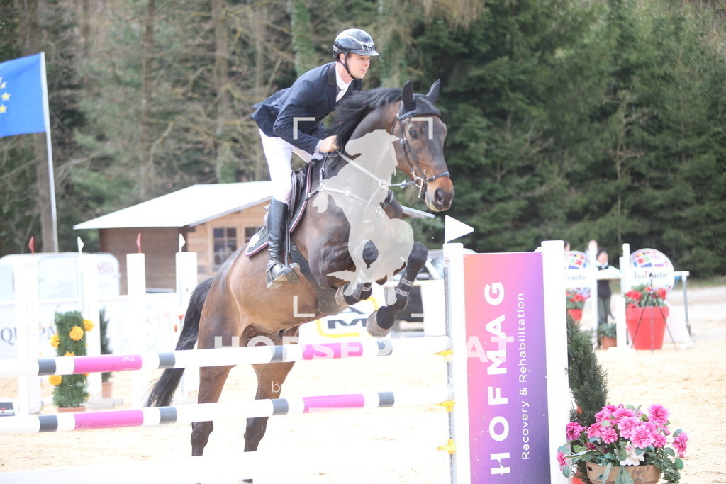 AS8V6611 | Willkommen bei Brunnmayr - Design & Fotografie – Ihrem Spezialisten für Reitturniere und Pferdeveranstaltungen in Oberösterreich, Salzburg und Bayern! Seit über 17 Jahren sind wir leidenschaftlich dabei.