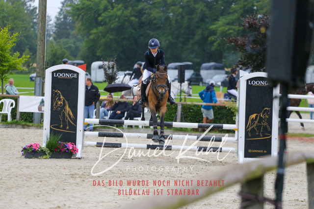 IMG_4965 | Turniersportfotografie; Pferdefotografie; Dressurfotografie