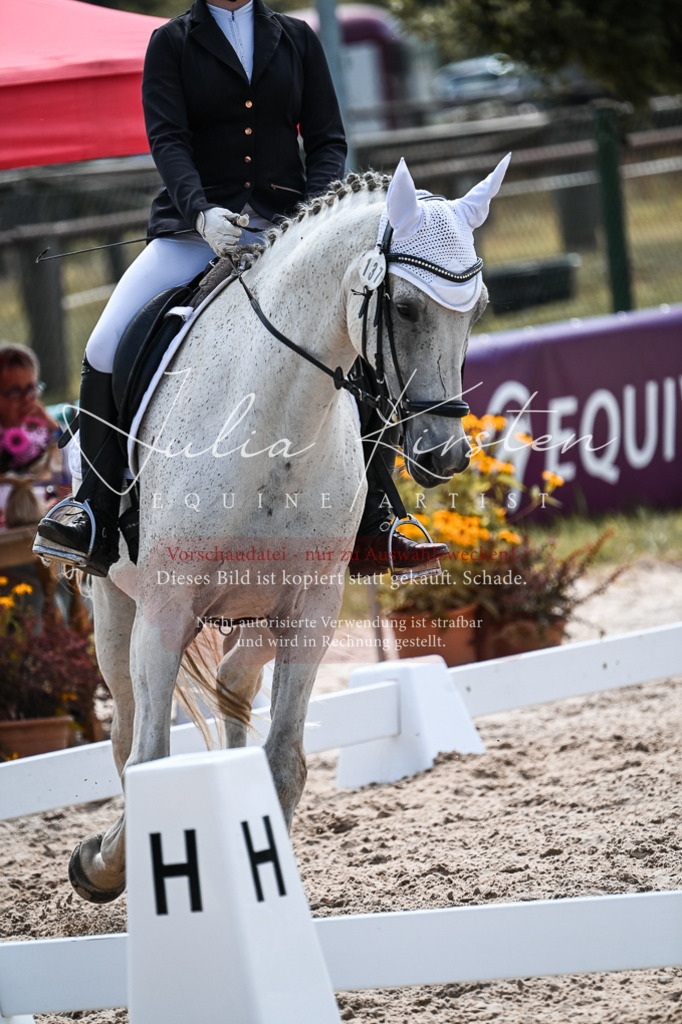 DSC_5312 | Pferde- und Turnierfotografie in Westsachsen. Pferdeportraits, Auftragszeichnungen und intuitive Kunst.