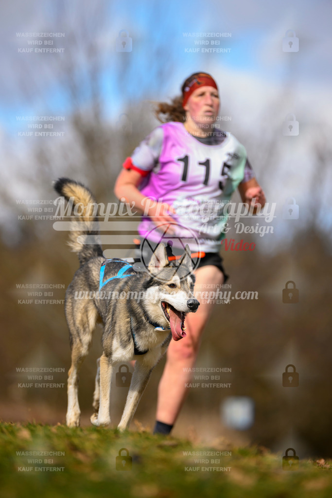 MompixPhotography_10Schwabentrail2026_SO_Canicross-41 | PayLife