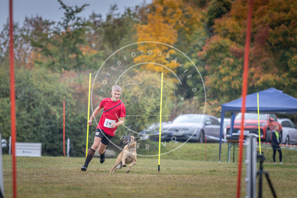 Pfotenfotografie_DV3A1166 | Hundefotografie, Tierfotograf, Pfotenfotografie, Fotoshooting Hund, Hunde Portrait, Hundesport, Hundeportraits, Heideshooting, Hunde, Sportfotograf, Hundefotograf, Turnierhundsport, THS,  - Realisiert mit Pictrs.com