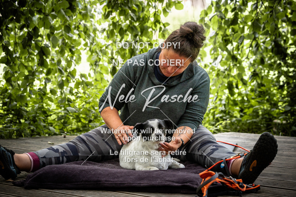 nelerasche_SaN_11 | nelerasche