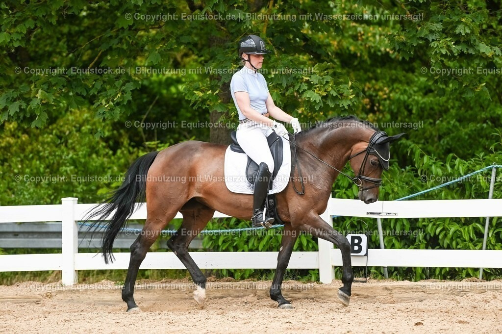 20230715_02_Dressurreiterprüfung Kl.L_0419 | equistock