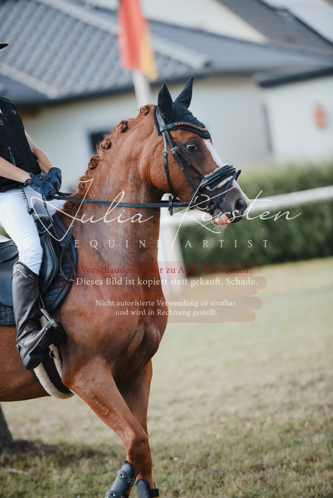 DSC_5217 | Pferde- und Turnierfotografie in Westsachsen. Pferdeportraits, Auftragszeichnungen und intuitive Kunst.