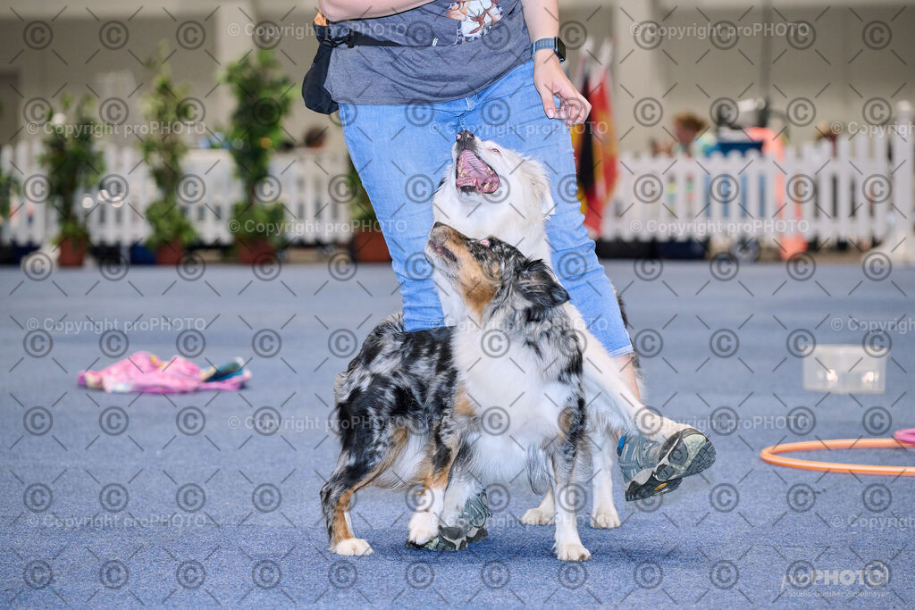 202406_ÖKV-IHA-Tulln24_NZ9_7716 | proPHOTO - Realisiert mit Pictrs.com