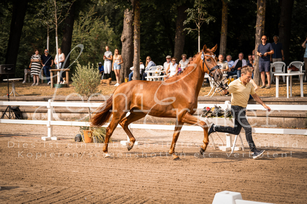 FrER00025 | Leoni Ertmer Photography - Realisiert mit Pictrs.com