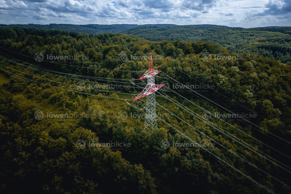 Freileitungsmast bei Wiesensteig im Sommer | löwenblicke | shop