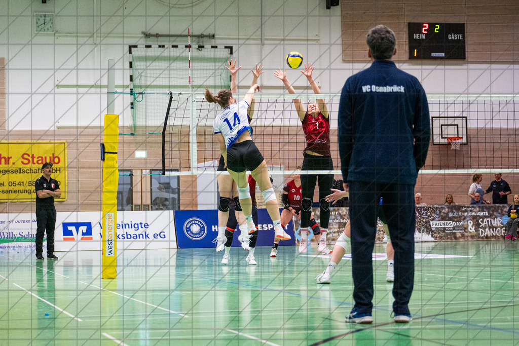 2. VBLF Nord 25/26 | Spiel 4065 | VC Osnabrück vs. TUSA City Girls Düsseldorf | KOOP Maria (VC Osnabrück e.V. #14) //  10.01.26: 2. VBLF Nord 25/26 | Spiel 4065 | VC Osnabrück vs. TUSA City Girls Düsseldorf / Osnabrück / Deutschland  //   CREDIT:www.bullenfotos.de, Martin König, Hörner Weg 40, D-49078 Osnabrück, +4917663732967 // Nutzung und Weitergabe nur zu den vereinbarten Zwecken. Presseanfragen an Ersteller. Alle Rechte beim Ersteller. Honorierung nach MFM. - Realisiert mit Pictrs.com