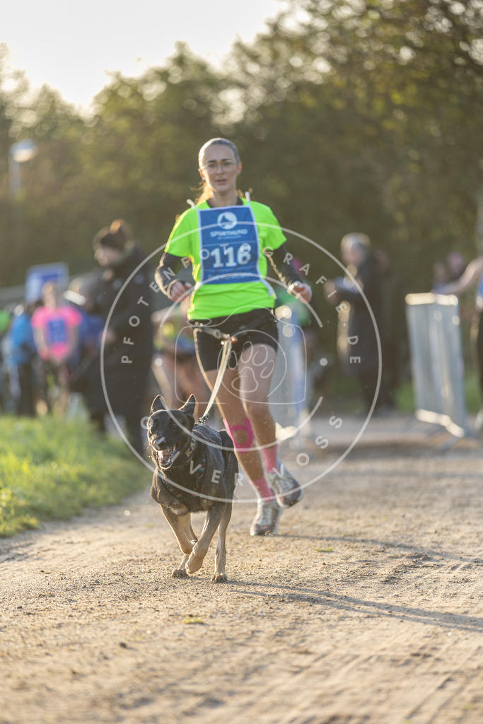 Pfotenfotografie.de_DV3A2443 | Hundefotografie, Tierfotograf, Pfotenfotografie, Fotoshooting Hund, Hunde Portrait, Hundesport, Hundeportraits, Heideshooting, Hunde, Sportfotograf, Hundefotograf, Turnierhundsport, THS, canicross - Realisiert mit Pictrs.com