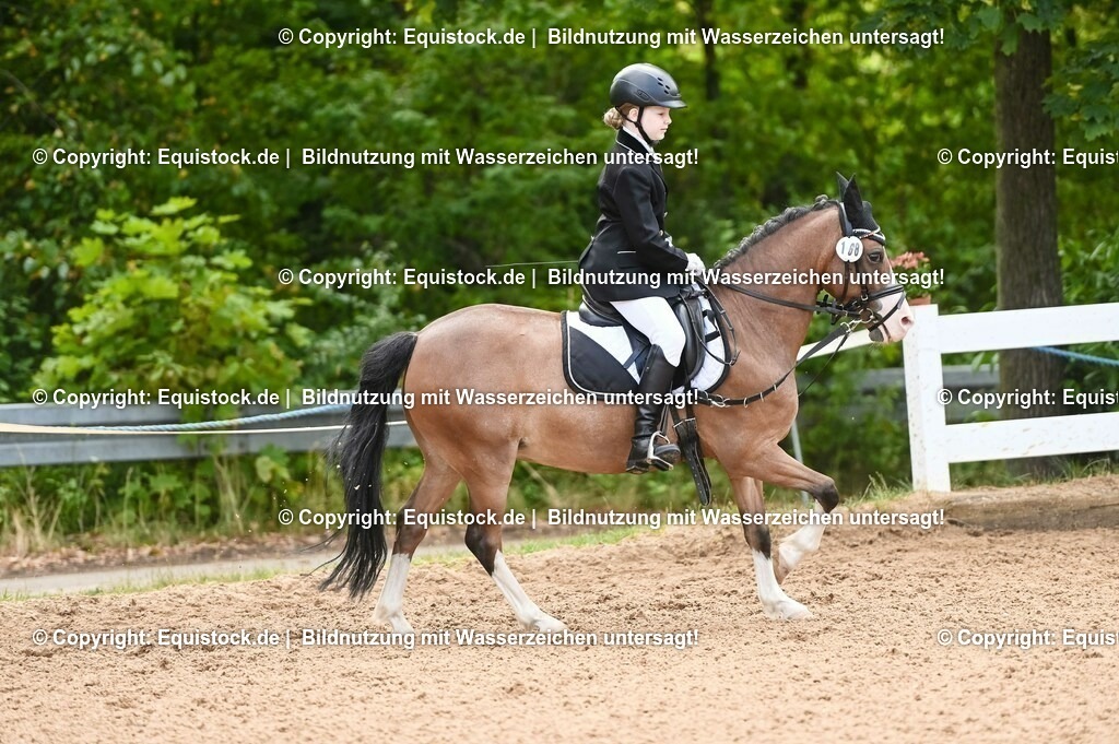 20230716_10-2_Reiter-WB Schritt - Trab - Galopp_0136 | equistock