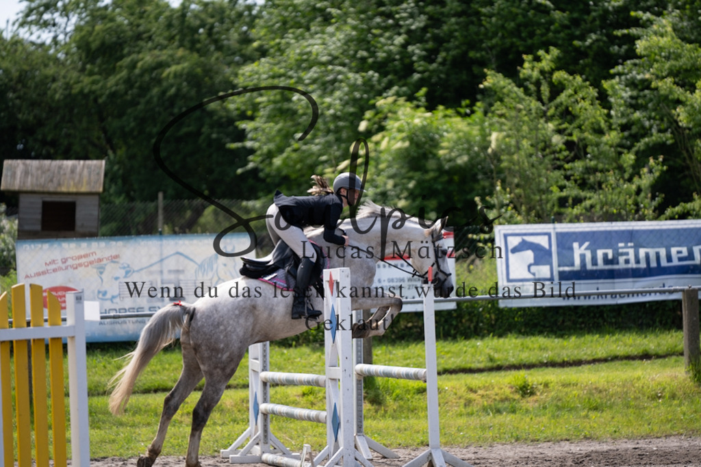 A7V04212 | Pferdefotograf