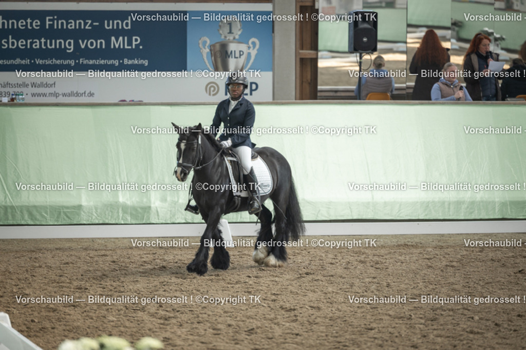 _D5A5499 | Emotionale Pferde- & People-Fotografie rund um Heidelberg, Leimen & Umgebung. Natürliche Fotos von Pferd, Mensch & Familie. Jetzt Termin sichern!