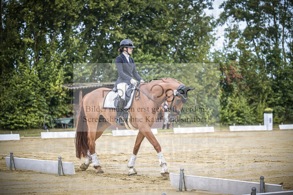 DOS_9713 | Entdecke hochwertige Reitturnierfotos von Foto Oger. Professionell, emotional und authentisch – jetzt Lieblingsmomente im Shop bestellen.Deutschlandweite Turnierfotografie. - Realisiert mit Pictrs.com