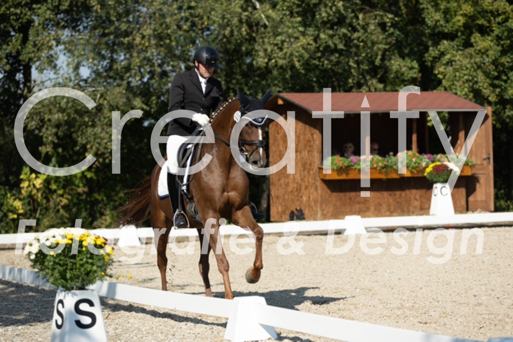 IMG_5821 | Creatify Fotografie