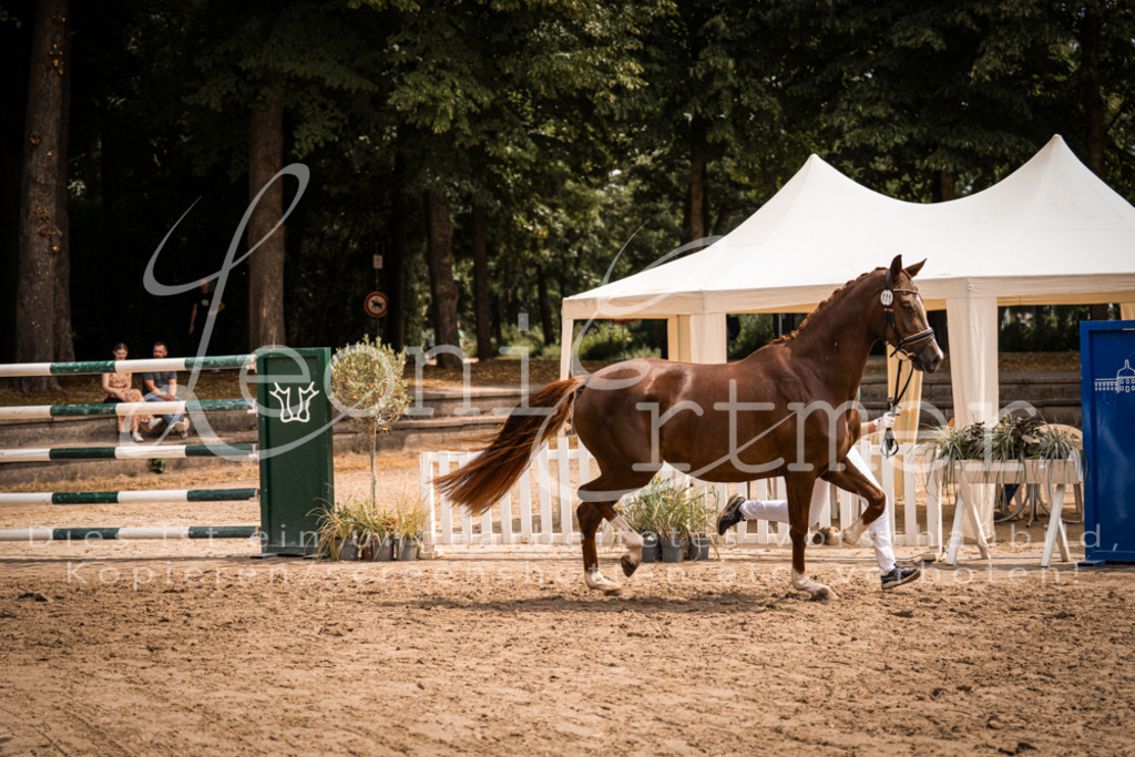 3.Fr00093 | Leoni Ertmer Photography - Realisiert mit Pictrs.com