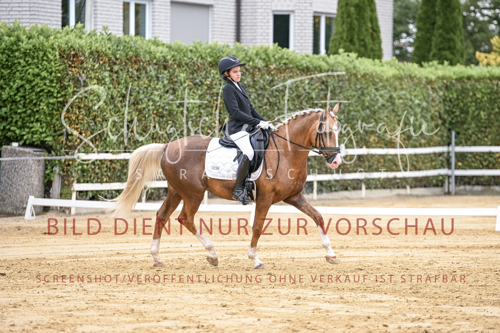 Schugtsche-Aluta25-42.EDressur -181 | Schugtsche Fotografie - Realizzato con Pictrs.com