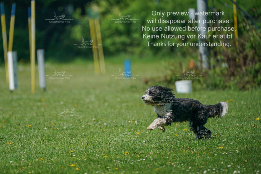 Sa_Gehorsam_Vormittag-174 | stephaniefillaphotographie - Realisiert mit Pictrs.com