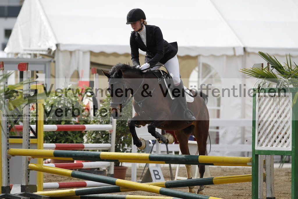 _MG_1203 | equestrian-live-com