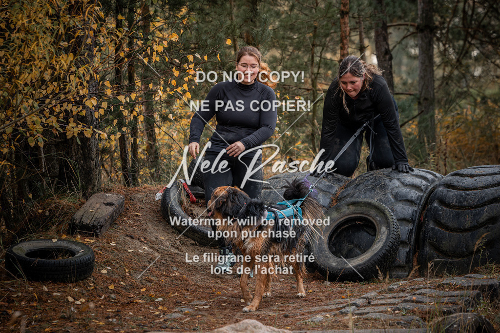 nelerasche_Creepy2025_So1000-1100_287 | nelerasche