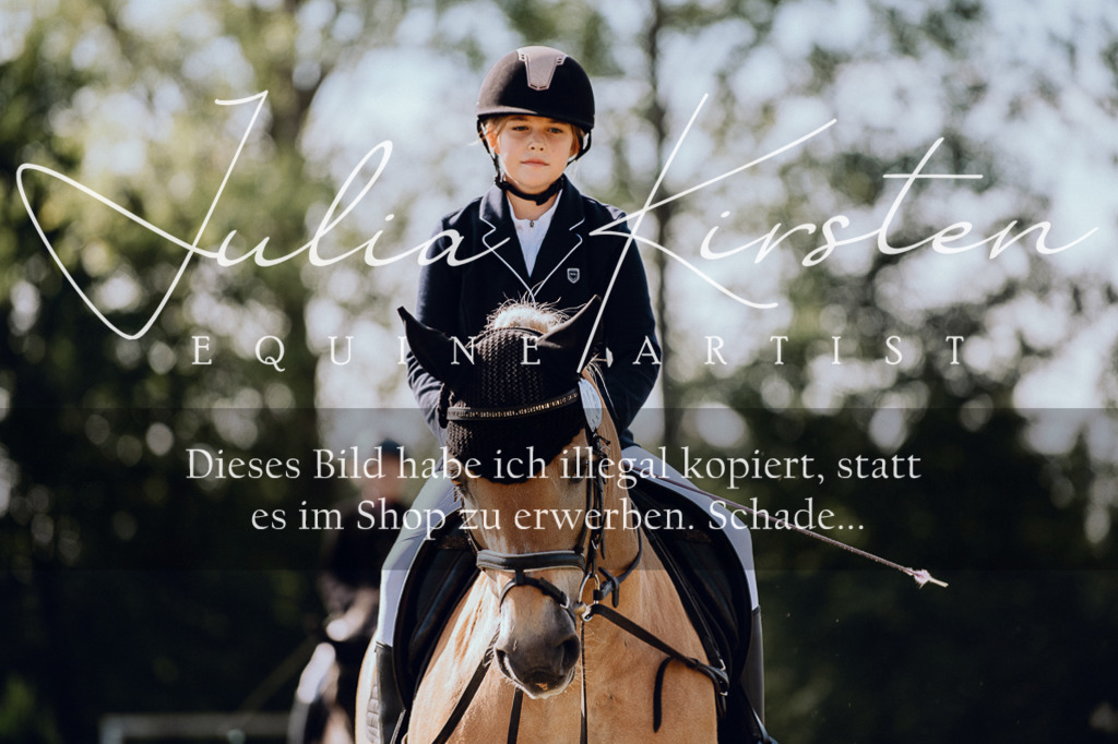 DSC_6891 | Pferde- und Turnierfotografie in Westsachsen. Pferdeportraits, Auftragszeichnungen und intuitive Kunst.