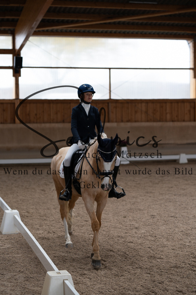 A7V02599 | Pferdefotograf