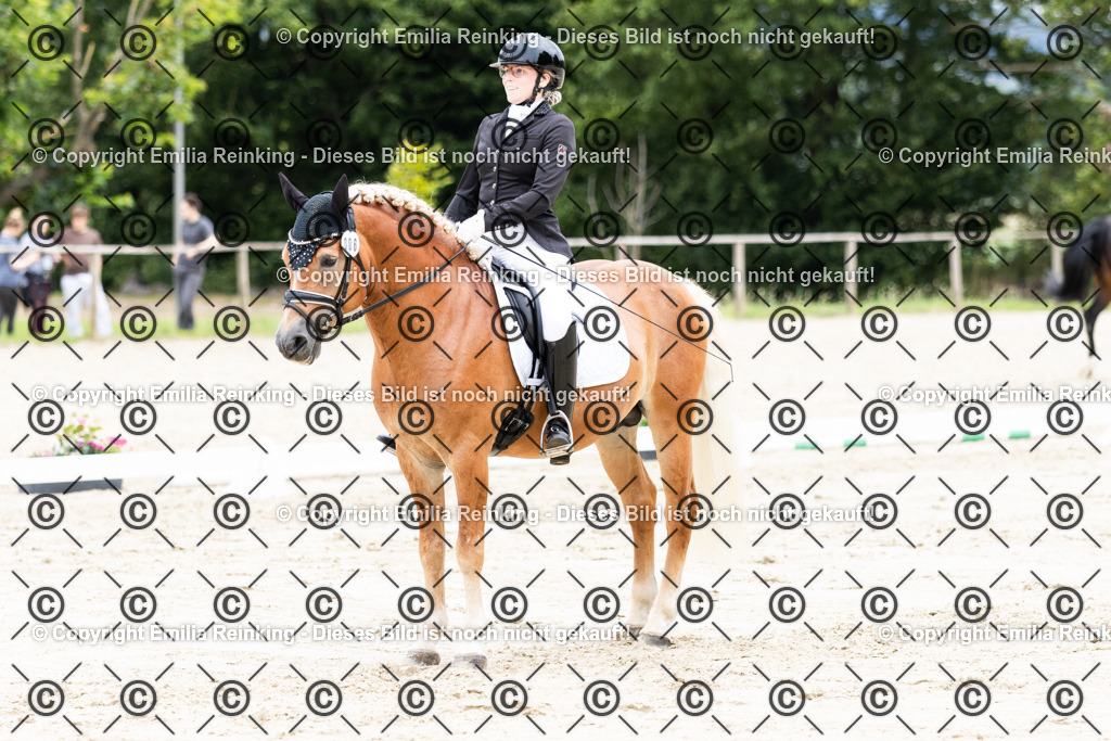 CL5A3103 | Emilia Reinking Fotografie - Realisiert mit Pictrs.com