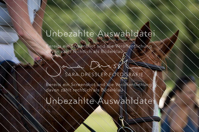 SD_Verl_05423 | saradresslerfotografie - Realisiert mit Pictrs.com
