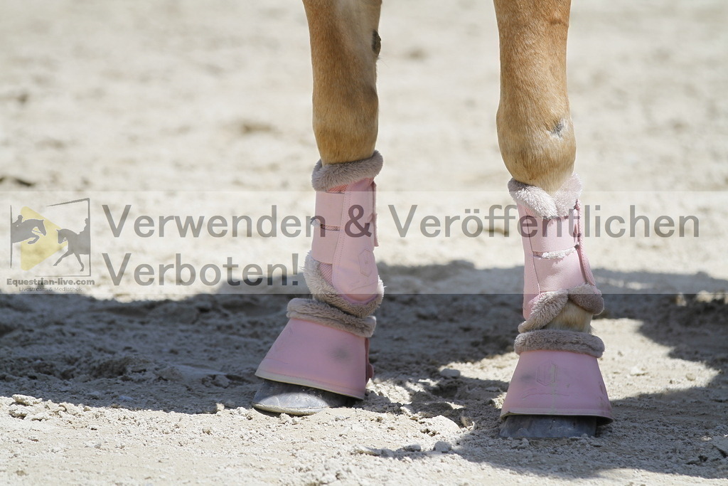 _MG_7814 | equestrian-live-com