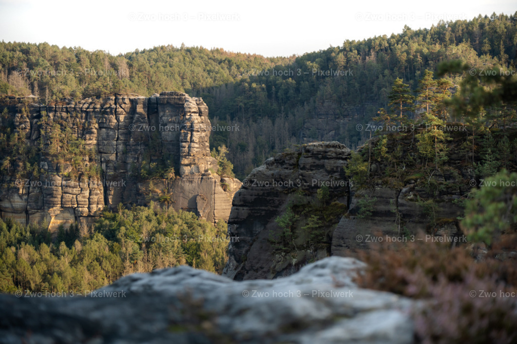 Unterer_Fremdenweg_Nahe_Suedlicher_Gleitmannsturm_Baerenhorn | 2022-08-30_Waldbrandgebiete_1 - Realisiert mit Pictrs.com
