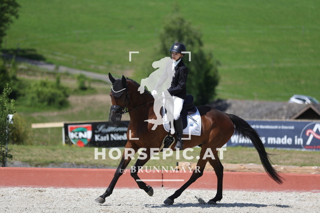 0P6A0503 | Willkommen bei Brunnmayr - Design & Fotografie – Ihrem Spezialisten für Reitturniere und Pferdeveranstaltungen in Oberösterreich, Salzburg und Bayern! Seit über 17 Jahren sind wir leidenschaftlich dabei.