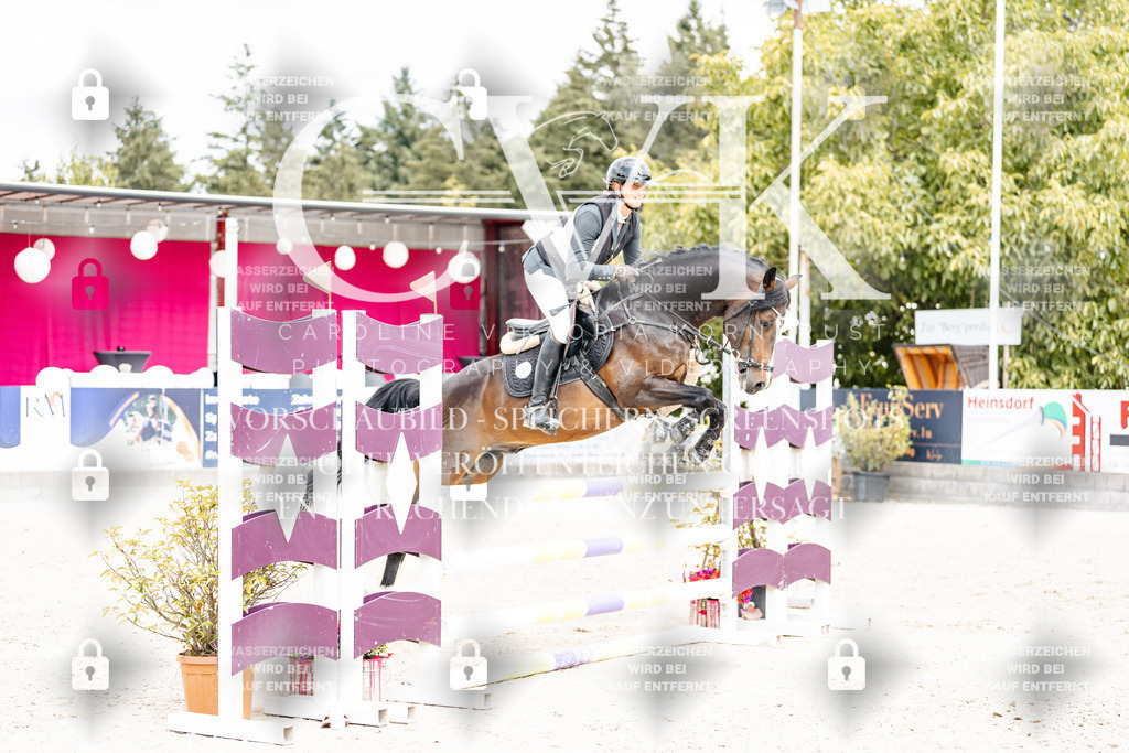 CK909249 | Turnierfotografie Pferdefotografie Trier Rheinland-Pfalz Pferdesport Reitsport Tierfotografie Sportfotografie Pferdevideo Pferdevideografie Equestrianvideography equestrianphotography  - Realisiert mit Pictrs.com