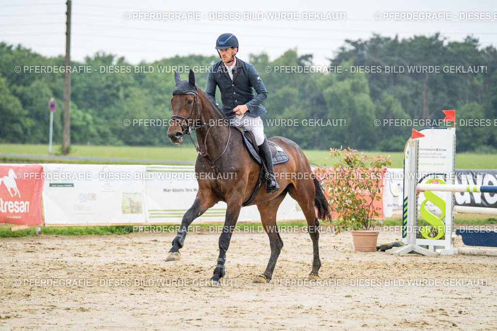 DSC00541 | Pferdegrafie