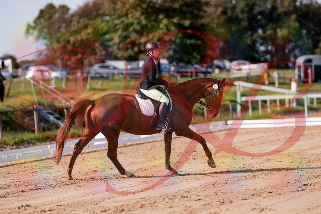 2026_10_03_Siefer-Hof_114422_Z81_86990841 | Professionelle Reitsport-, Turnier- und Eventfotografie von Robert Broda. Galerien mit ausgewählten und bearbeiteten Bildern direkt online ansehen und bestellen.