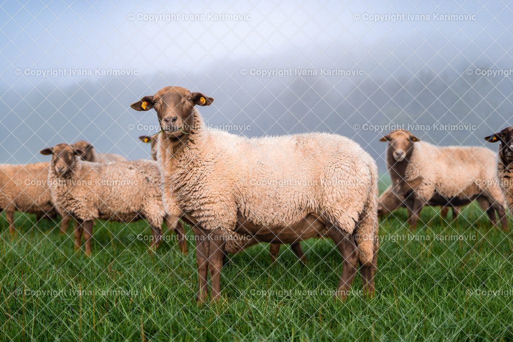 Treisbach  | ikphotography - Realisiert mit Pictrs.com